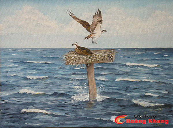 Tranh Thuyền Bườm